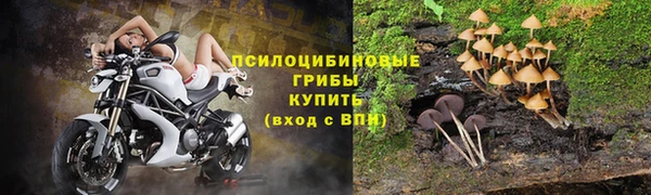 синтетический гашиш Алексин