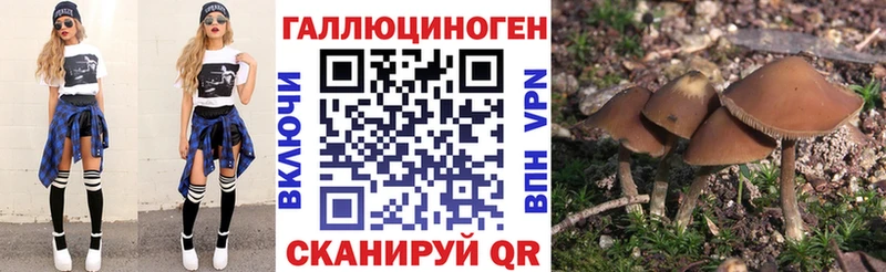 Галлюциногенные грибы ЛСД  хочу наркоту  Тула 